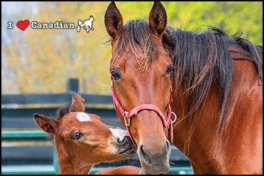 May's Calendar Photographer