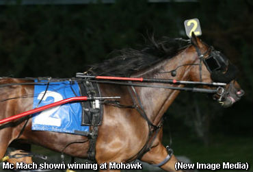 Stakes Double For Alfie & Bob