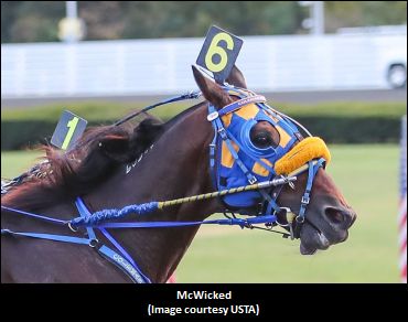 McWicked To The Potomac Pace 