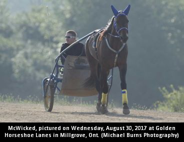 Coleman Discusses McWicked