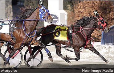 Favourites Deliver In WEGZ Stakes Elims