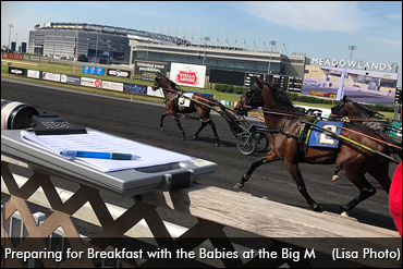 Rookies Impress At The Meadowlands