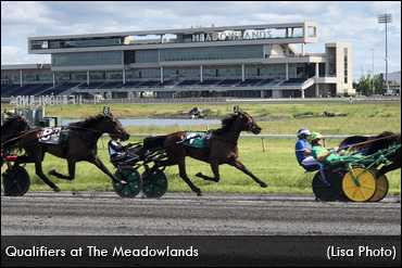 Stars Flood Big M Qualifiers