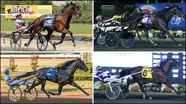 Rookie Royalty At The Meadowlands Rookie Royalty At The Meadowlands