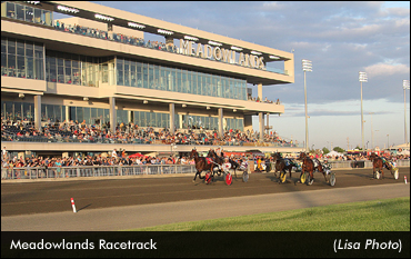 Meadowlands Pace News Centre