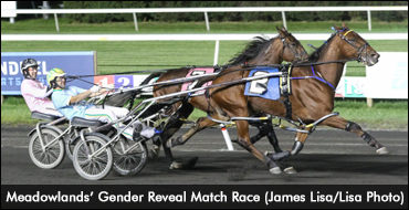 A Match Race To Remember