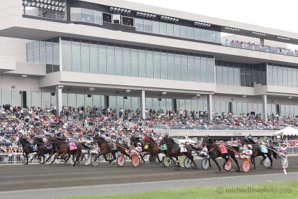 Requirements For ‘Hambo Day’ Stakes Requirements For ‘Hambo Day’ Stakes