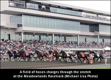 Babies Swift In Meadowlands Qualifiers