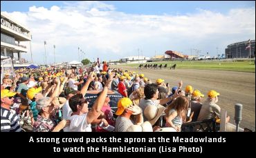 ‘Big M’s Hambo Day Wagering Format
