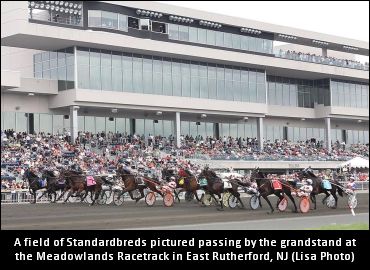 Road To The Meadowlands Pace (Week 4)