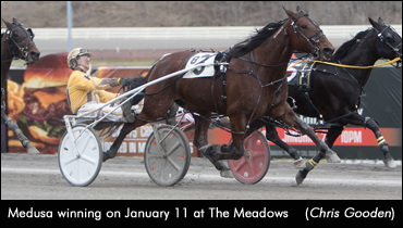 Medusa Prevails In Meadows Preferred