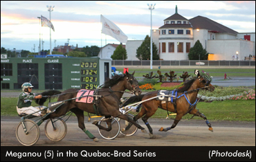 Meganou Back In Quebec Spotlight