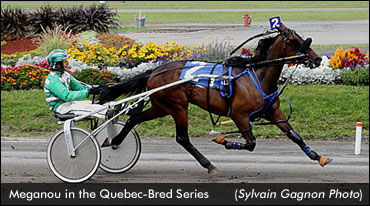 Meganou Lowers 3R Record Meganou Lowers 3R Record