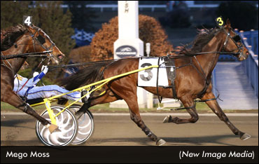 Mego Moss Scores Don Mills Victory