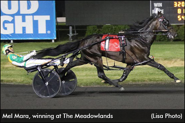 Mel Mara Seeks Stakes Glory