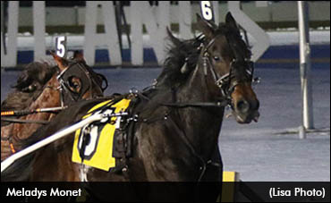 Pair Of Trotters A Treat For Abbatiello