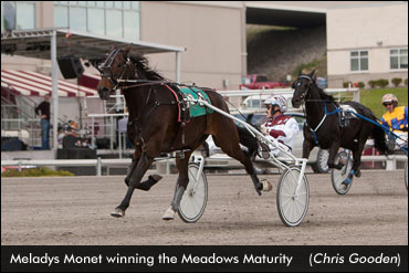 Meladys Monet Rebounds In 'Maturity'