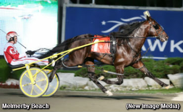 Set Of Sensational Soph Debuts