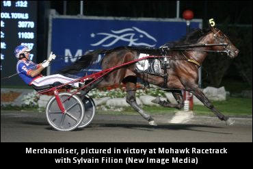 Merchandiser To Stand In Ontario