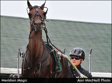 Meridian Magic Named PEISHOA HOTY