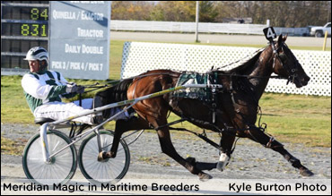 The ‘Magic’ Continues In Chappell Stakes