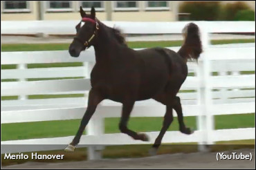 Friday's Mohawk Qualifiers Complete