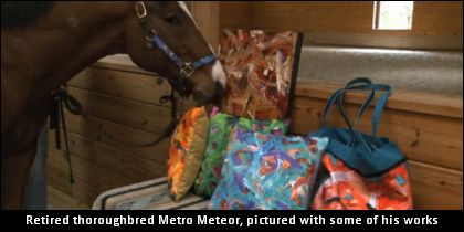 Horse Fights Back Against Joint Issue