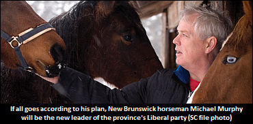 Murphy Launches NB Liberal Leadership Campaign
