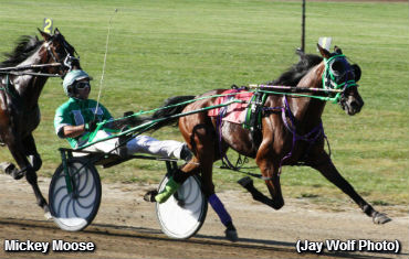 Mickey Moose Gets All The Marbles