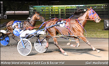Andrew Scores In Gold Cup Trial
