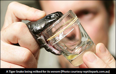 Official: Snake Venom Positive Expected 
