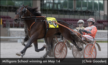 Milligans School Stars In Sires Stakes