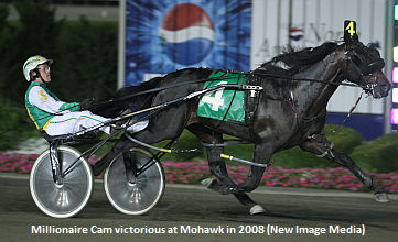 Upper Canada Cup Dark Horse?