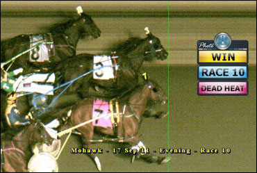 Field Set For Milton Stakes