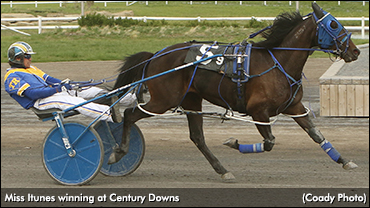 Miss Itunes Dominant At Century