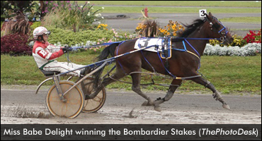 Miss Babe Delight Romps In Bombardier