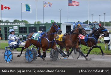 Berube Sweeps Quebec Stakes