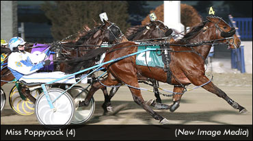 Brethour Trainees Finish 1-2 In 'Blizzard'