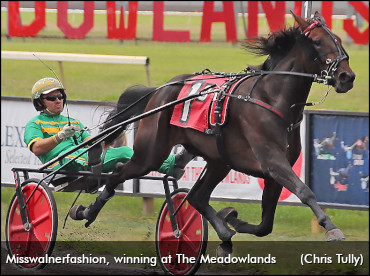 Walners Shine At The Baby Races