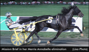 Track Record In Meadowlands Elims