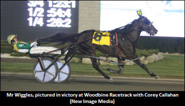 Mr Wiggles To Ohio's Sugar Valley Farm