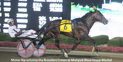 Mister Big To Tara Hills Stud