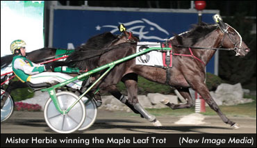 Mister Herbie Nears Return