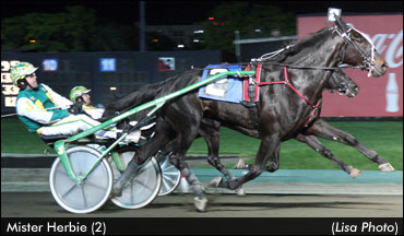 Mister Herbie Wins Cutler Memorial; Golden Receiver Becomes Millionaire