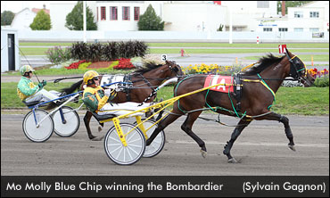 Mo Molly Blue Chip Wins Bombardier