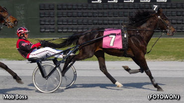 DSBF Second Leg Completed At Dover