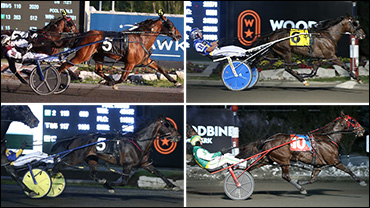 Star Power In Mohawk Preferred