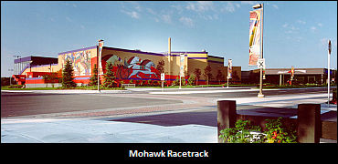 Two-Year-Olds Tussle At Mohawk