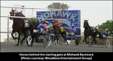 Six-Figure Babies Debut At Mohawk