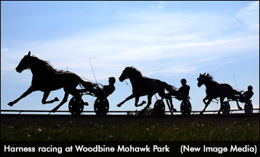 WEG SBOA Fillies Straight To Finals